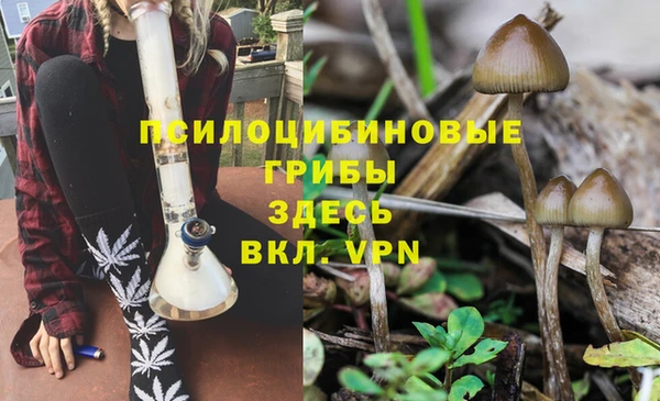 кокаин Богородицк