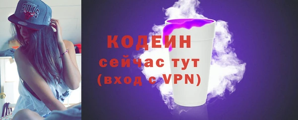 МДПВ Снежногорск