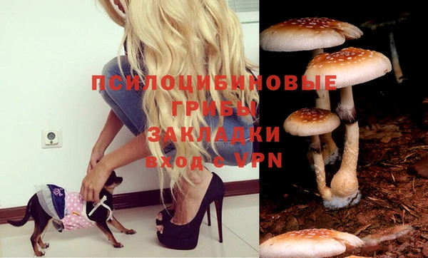 кокаин Богородицк