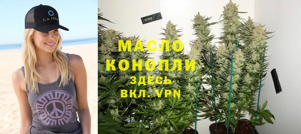 МДПВ Снежногорск