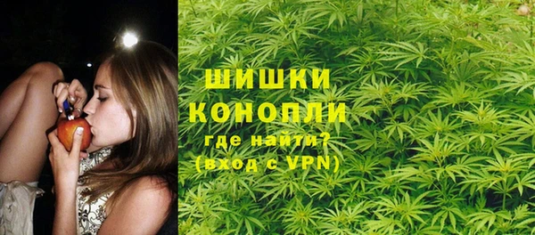 МДПВ Снежногорск