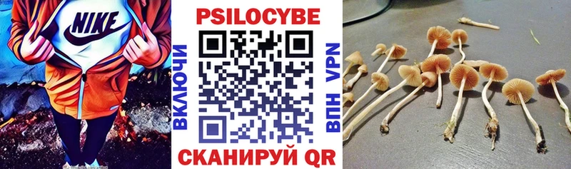 Галлюциногенные грибы мухоморы  мориарти клад  Усть-Кут 